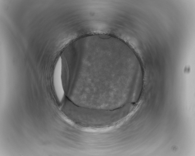 X0000093580017200711121112