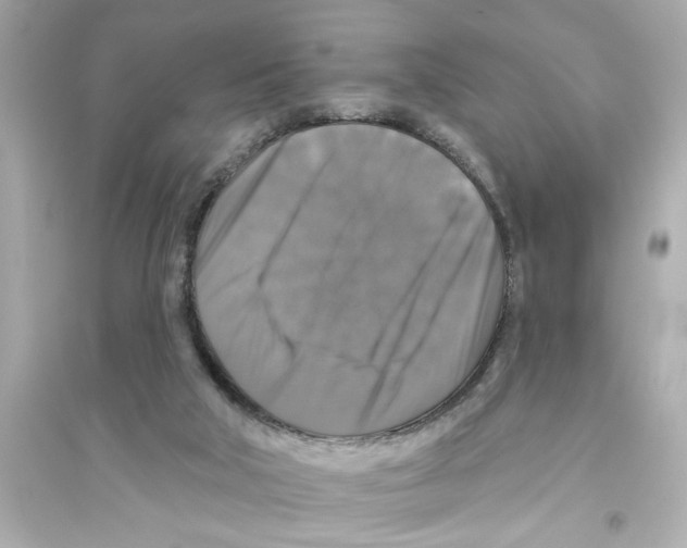 X0000093580018200711121112