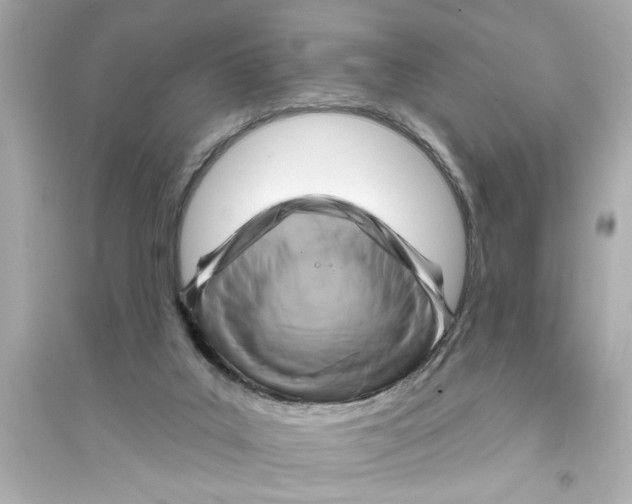 X0000093580019200711121112