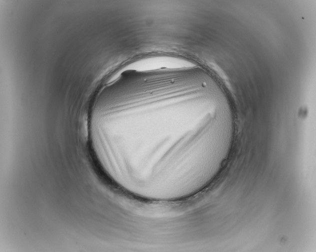 X0000093580020200711121112