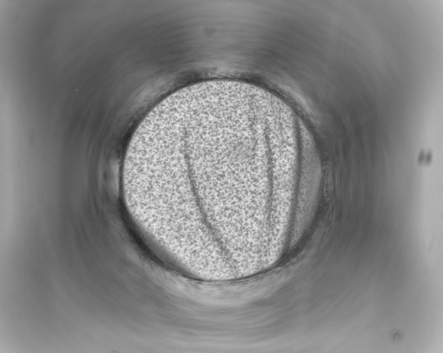 X0000093580022200711121112