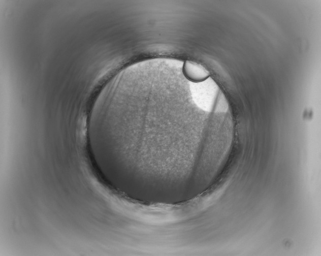 X0000093580024200711121112