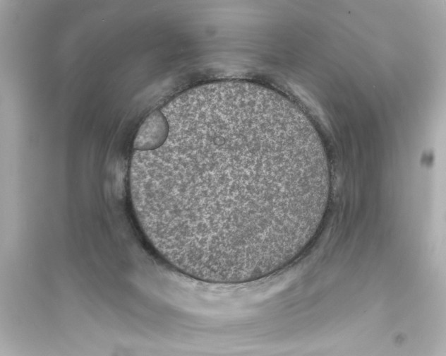 X0000093580026200711121112