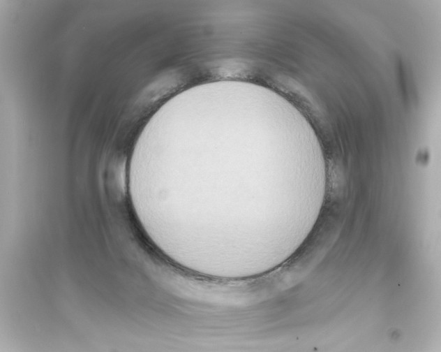 X0000093580028200711121111