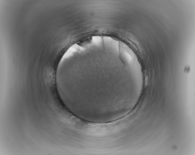 X0000093580029200711121111