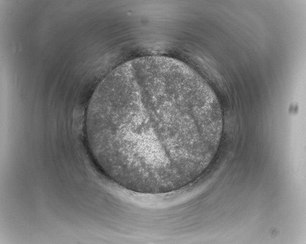 X0000093580030200711121111