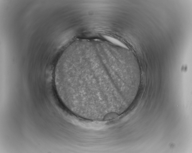 X0000093580032200711121111