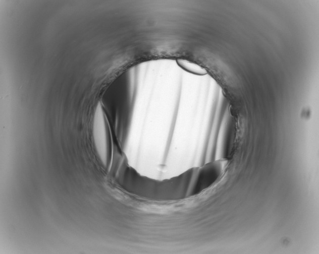 X0000093580033200711121111