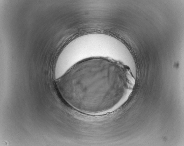 X0000093580035200711121111