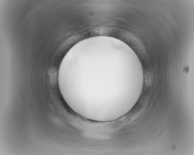 X0000093580036200711121111