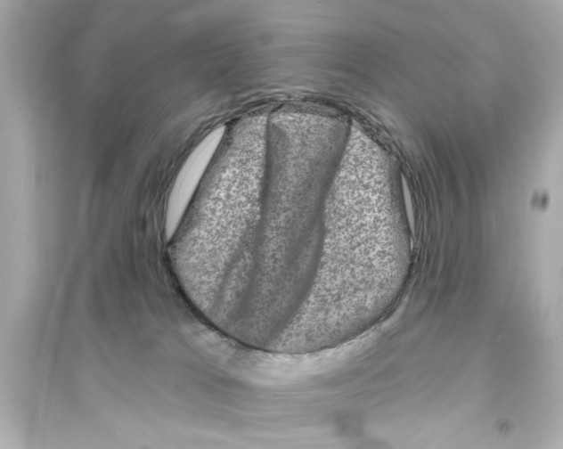 X0000093580037200711121111