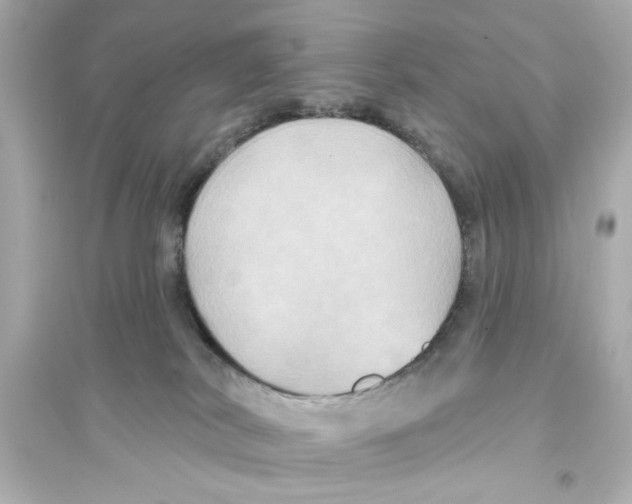 X0000093580038200711121111