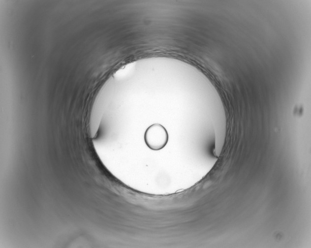 X0000093580039200711121111