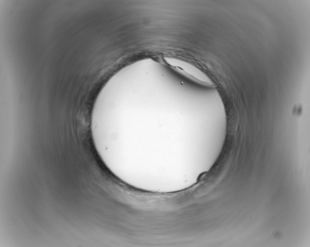 X0000093580040200711121111