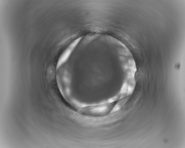 X0000093580043200711121111