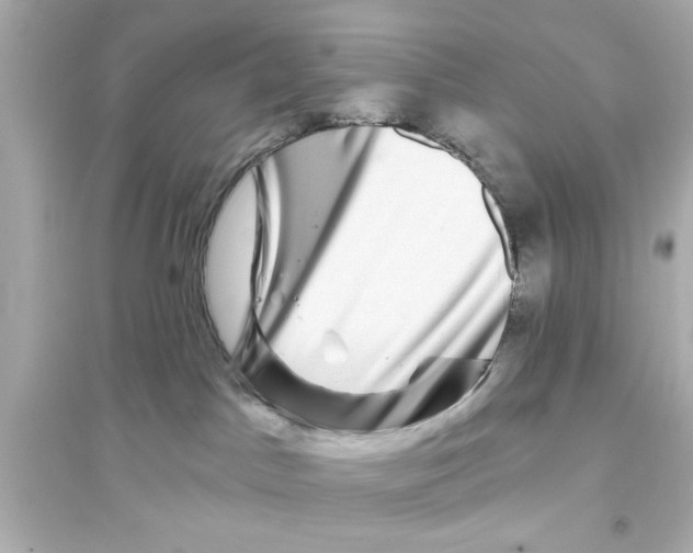 X0000093580045200711121111