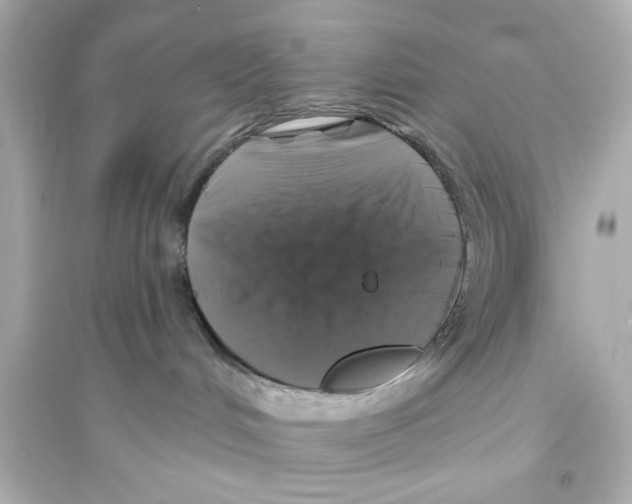 X0000093580048200711121111