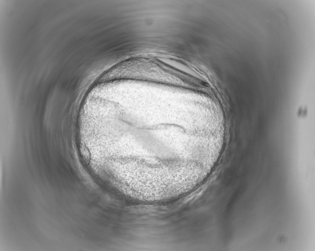 X0000093580049200711121110