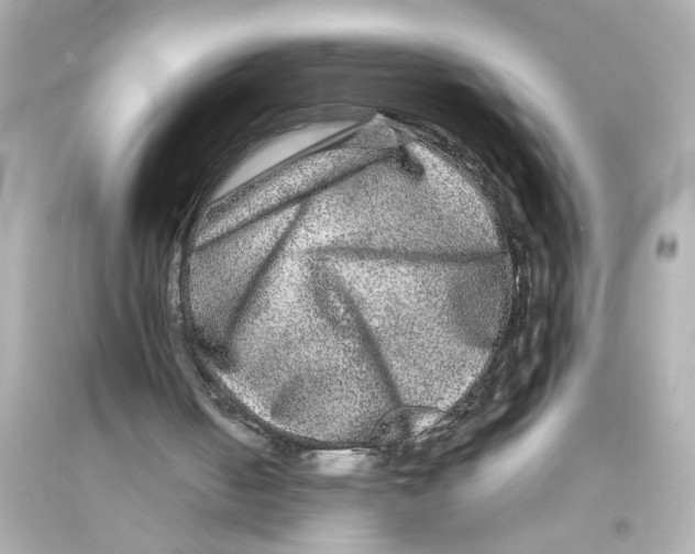 X0000093580050200711121110