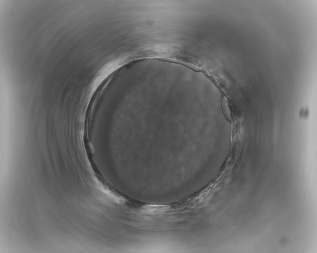 X0000093580051200711121110