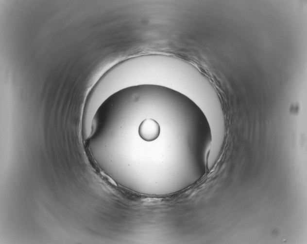 X0000093580052200711121110