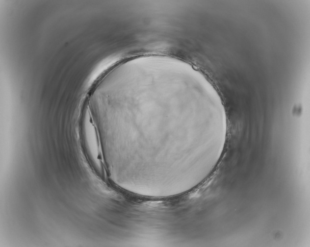 X0000093580054200711121110