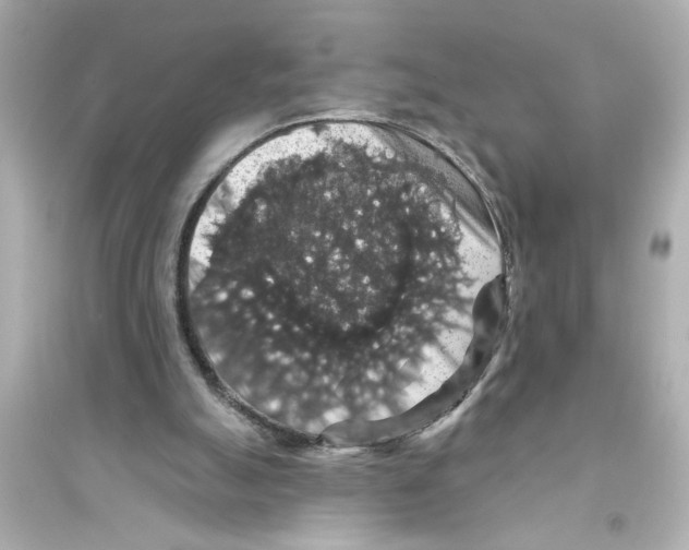 X0000093580055200711121110