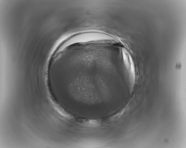 X0000093580056200711121110