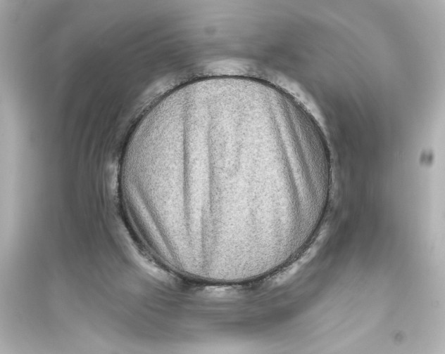 X0000093580057200711121110