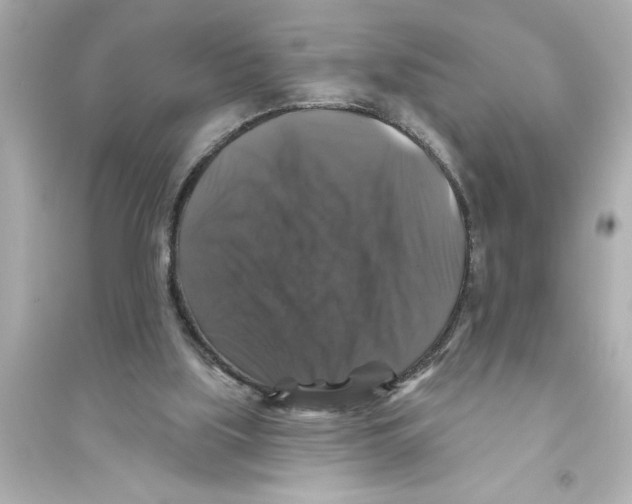 X0000093580059200711121111