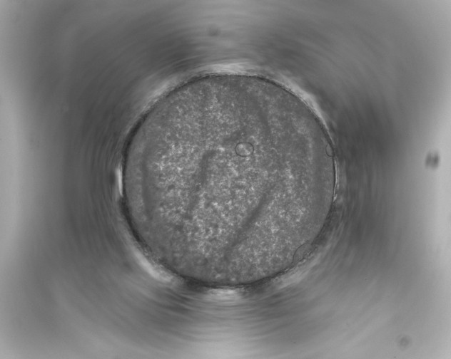 X0000093580061200711121111