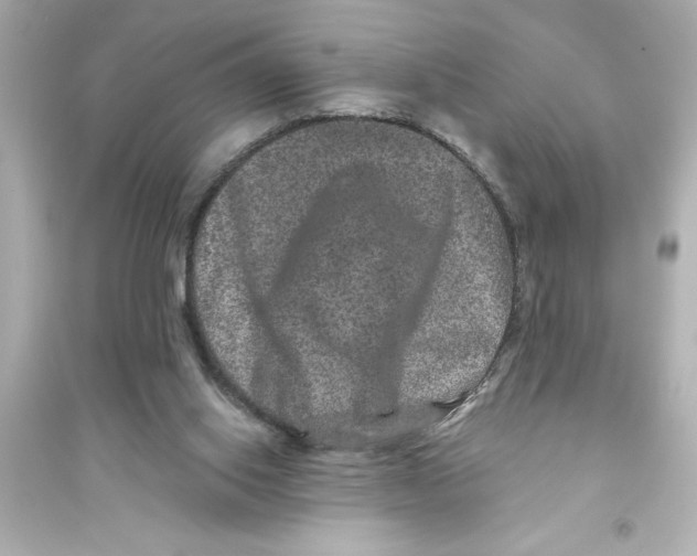 X0000093580062200711121111