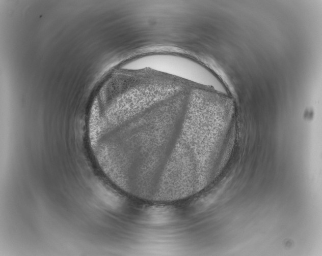 X0000093580063200711121111