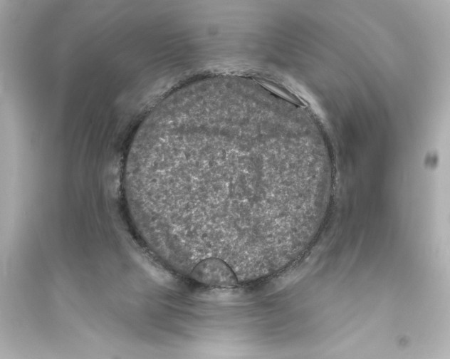 X0000093580065200711121111