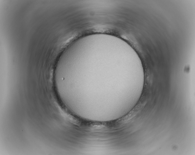 X0000093580066200711121111