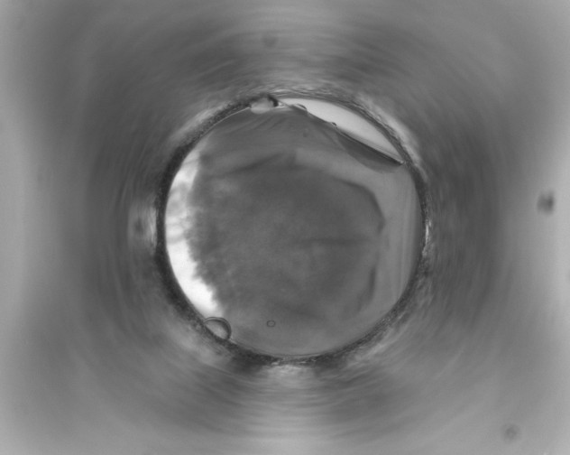 X0000093580067200711121111