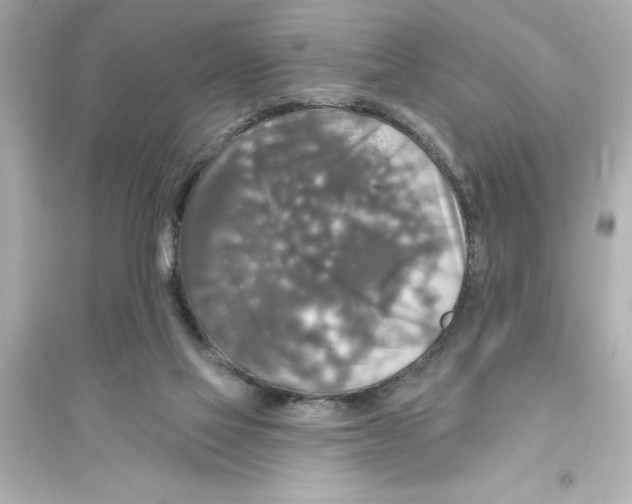 X0000093580069200711121111