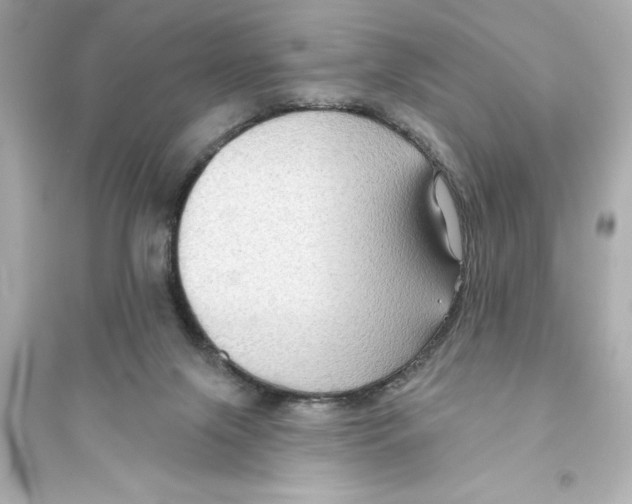 X0000093580071200711121111