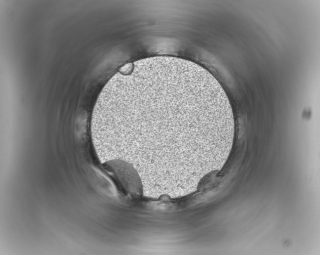 X0000093580073200711121111