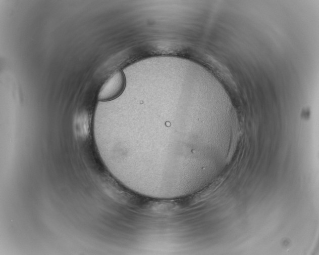 X0000093580075200711121111