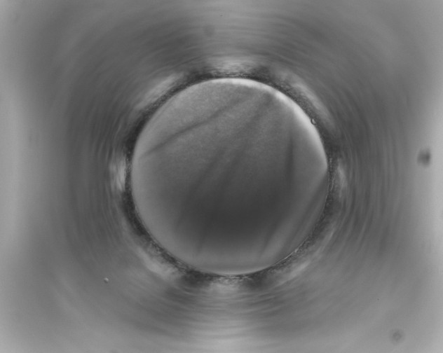 X0000093580076200711121111