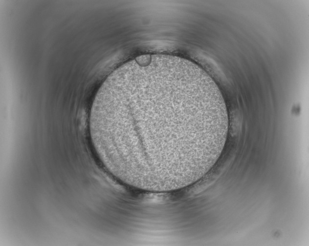 X0000093580077200711121111