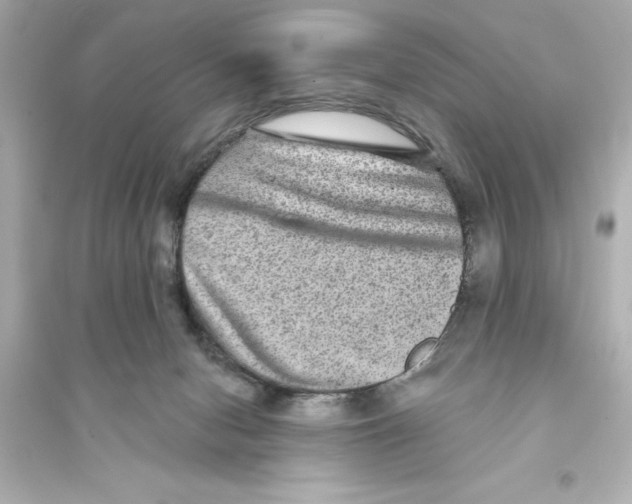 X0000093580078200711121111