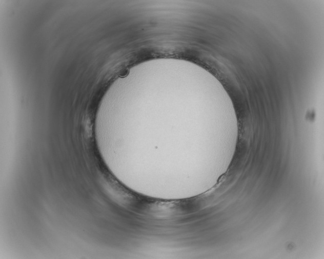 X0000093580086200711121111