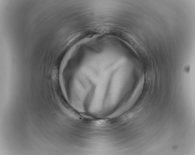 X0000093580092200711121111