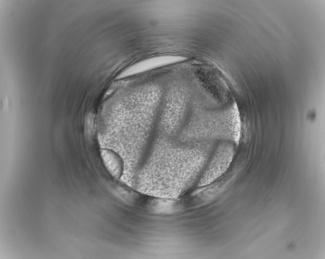 X0000093580093200711121111