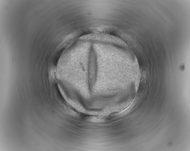 X0000093580094200711121111