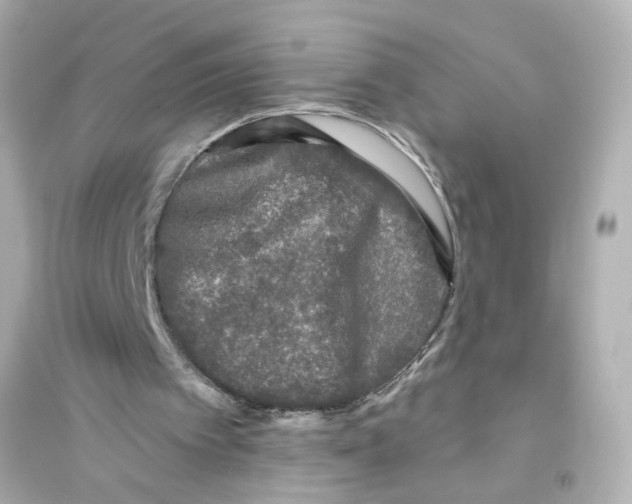 X0000093580097200711121110