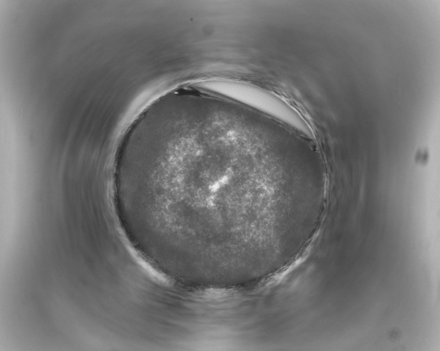 X0000093580101200711121110