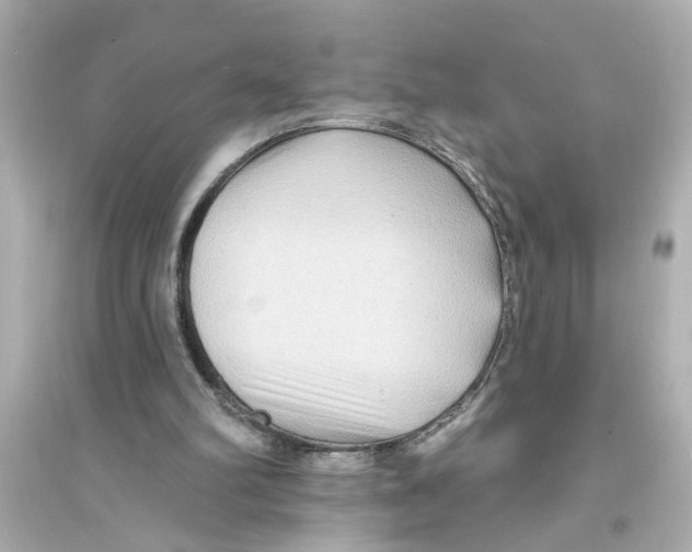 X0000093580102200711121110